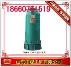 BQS W 70-150/3-75/N排污排沙潛水電泵