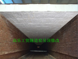 隧道窑烧结砖厂专用青岛高乐陶瓷纤维模块