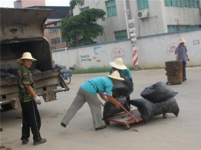 深圳宝安清洁绿化承包