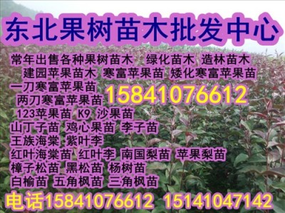 123果树苗 批发123果树苗 求购123果树苗