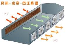 哪里的養殖水簾風機質量最好 樂陵通達