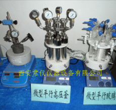 CGF-100微型高压反应釜