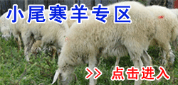 中国养羊市场前景分析