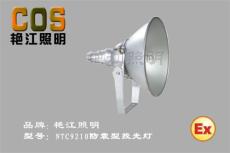 NTC9210防震型投光灯/防震型投光灯价格
