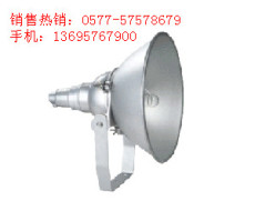 NTC9210防震型投光灯批发