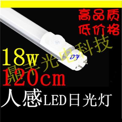 人感LED日光燈 4S日光燈管 日本LED日光燈