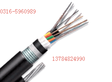 国标MHYV信号电缆型号/MHYV信号电缆详解