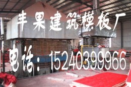 上海建筑模板厂家 电话