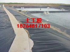 深圳大型鱼塘防渗水材料+++ 河道防渗膜
