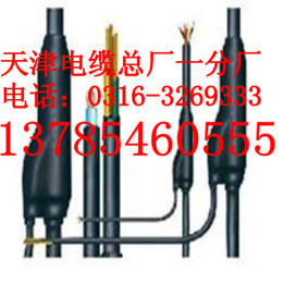 介绍同轴电缆SYV75-4 报价图片