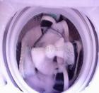 供应象山县XQB60-818投币洗衣机销售