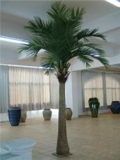 北京仿真棕榈树椰子树出售