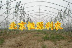 北京大棚骨架機 養殖大棚 恒源科技