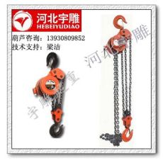 DHP型群吊电动葫芦 群吊环链电动葫芦