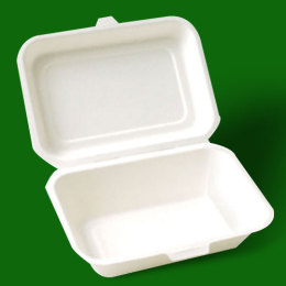 一次性饭盒 碗 盘子 碟子环保甘蔗渣原料