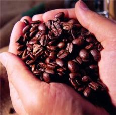供应上海咖啡豆批发 零售咖啡豆供应商