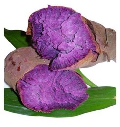 紫薯种子价格北京最新农科院紫薯种子预定