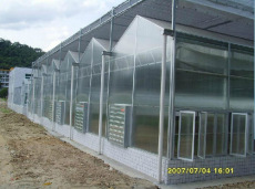 温室阳光板防滴露农业温室阳光板