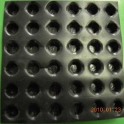 深圳排水板龙头质量领先