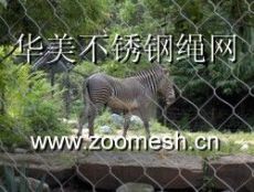 动物园专用网
