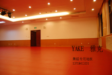 舞蹈塑胶地板 专业舞蹈地胶 舞蹈专用地板