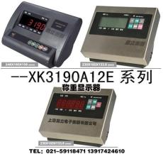 XK3190-A12SS不銹鋼儀表