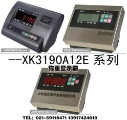 XK3190-A12SS不锈钢仪表