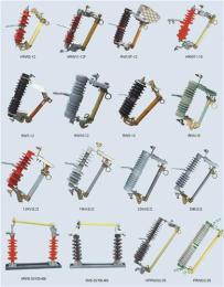 跌落式熔斷器RW9-10/100A-200A