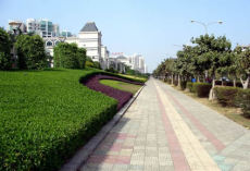 广东城市道路绿化公司
